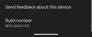 build number build number